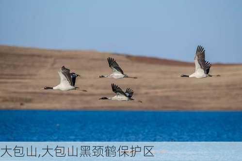 大包山,大包山黑颈鹤保护区-第2张图片-奥莱旅游网