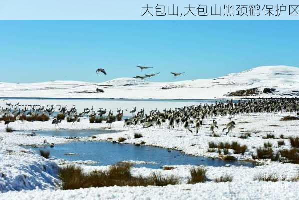 大包山,大包山黑颈鹤保护区-第3张图片-奥莱旅游网