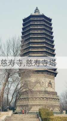 慈寿寺,慈寿寺塔-第1张图片-奥莱旅游网