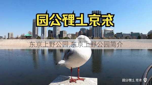 东京上野公园,东京上野公园简介-第2张图片-奥莱旅游网