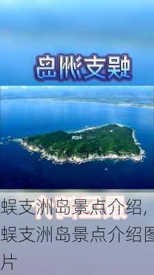 蜈支洲岛景点介绍,蜈支洲岛景点介绍图片-第1张图片-奥莱旅游网