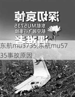 东航mu5735,东航mu5735事故原因-第2张图片-奥莱旅游网