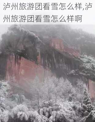 泸州旅游团看雪怎么样,泸州旅游团看雪怎么样啊-第2张图片-奥莱旅游网