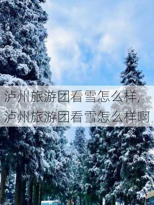 泸州旅游团看雪怎么样,泸州旅游团看雪怎么样啊-第1张图片-奥莱旅游网