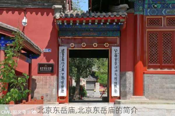 北京东岳庙,北京东岳庙的简介-第1张图片-奥莱旅游网