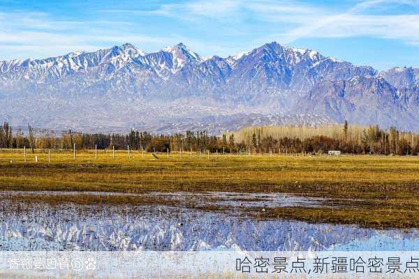 哈密景点,新疆哈密景点-第3张图片-奥莱旅游网