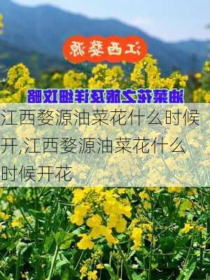 江西婺源油菜花什么时候开,江西婺源油菜花什么时候开花-第2张图片-奥莱旅游网