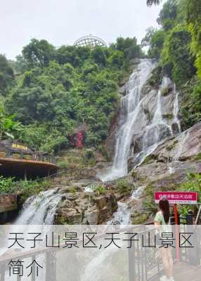 天子山景区,天子山景区简介