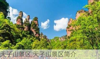 天子山景区,天子山景区简介-第2张图片-奥莱旅游网