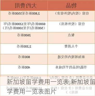 新加坡留学费用一览表,新加坡留学费用一览表图片-第2张图片-奥莱旅游网