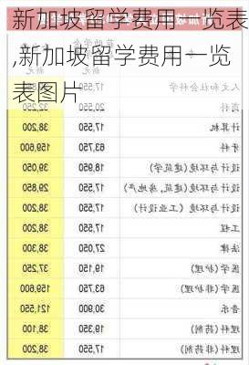 新加坡留学费用一览表,新加坡留学费用一览表图片-第1张图片-奥莱旅游网