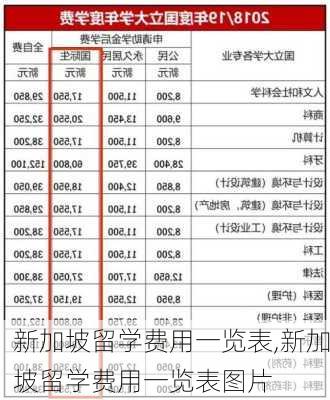 新加坡留学费用一览表,新加坡留学费用一览表图片-第3张图片-奥莱旅游网