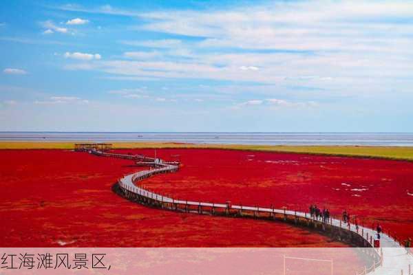 红海滩风景区,-第2张图片-奥莱旅游网