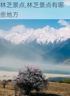 林芝景点,林芝景点有哪些地方-第1张图片-奥莱旅游网