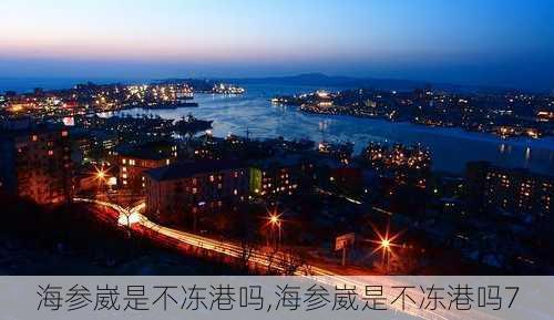 海参崴是不冻港吗,海参崴是不冻港吗7-第1张图片-奥莱旅游网