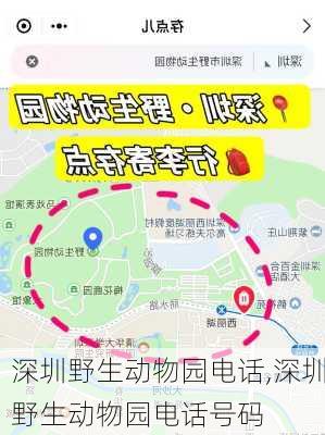 深圳野生动物园电话,深圳野生动物园电话号码-第3张图片-奥莱旅游网