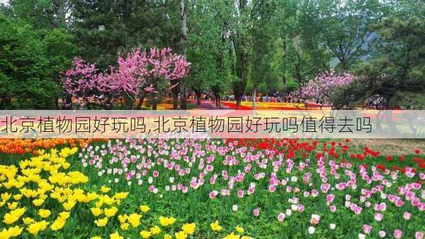 北京植物园好玩吗,北京植物园好玩吗值得去吗-第2张图片-奥莱旅游网