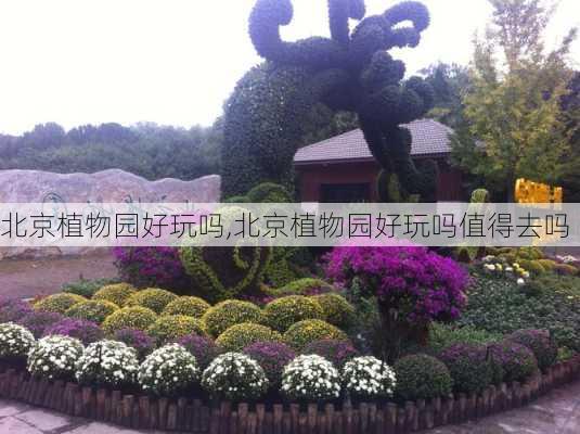 北京植物园好玩吗,北京植物园好玩吗值得去吗-第1张图片-奥莱旅游网