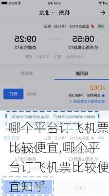 哪个平台订飞机票比较便宜,哪个平台订飞机票比较便宜知乎-第2张图片-奥莱旅游网