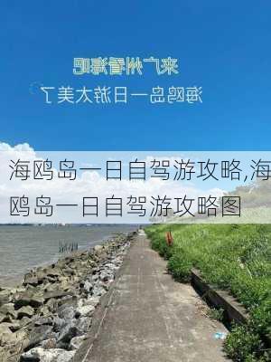 海鸥岛一日自驾游攻略,海鸥岛一日自驾游攻略图-第2张图片-奥莱旅游网