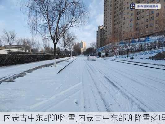 内蒙古中东部迎降雪,内蒙古中东部迎降雪多吗-第3张图片-奥莱旅游网