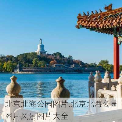 北京北海公园图片,北京北海公园图片风景图片大全-第2张图片-奥莱旅游网