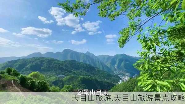 天目山旅游,天目山旅游景点攻略