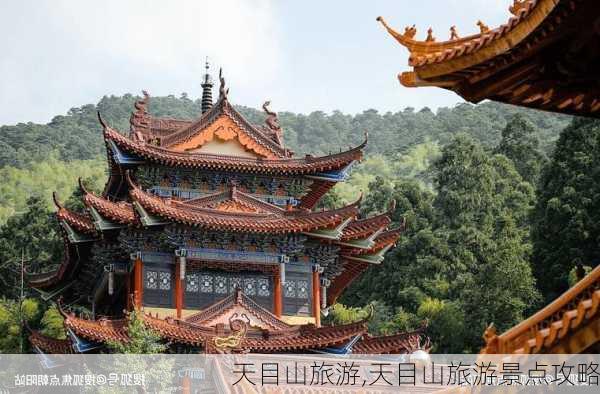 天目山旅游,天目山旅游景点攻略-第2张图片-奥莱旅游网