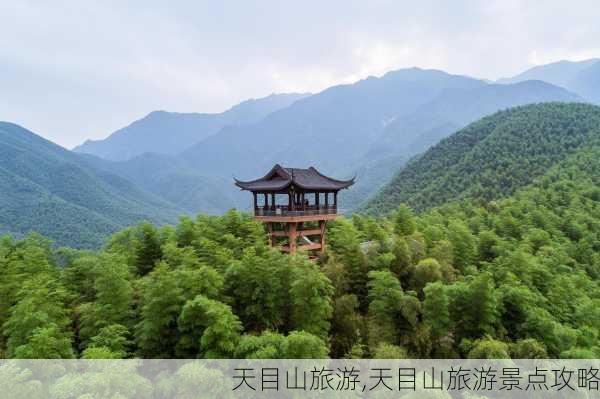 天目山旅游,天目山旅游景点攻略-第3张图片-奥莱旅游网