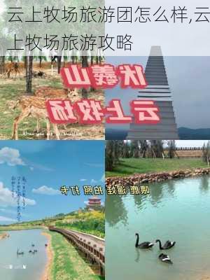 云上牧场旅游团怎么样,云上牧场旅游攻略-第2张图片-奥莱旅游网