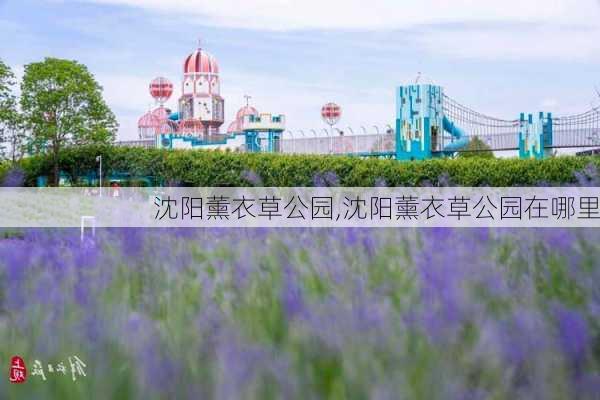 沈阳薰衣草公园,沈阳薰衣草公园在哪里-第1张图片-奥莱旅游网