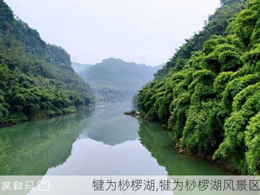 犍为桫椤湖,犍为桫椤湖风景区-第3张图片-奥莱旅游网