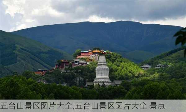 五台山景区图片大全,五台山景区图片大全 景点-第1张图片-奥莱旅游网