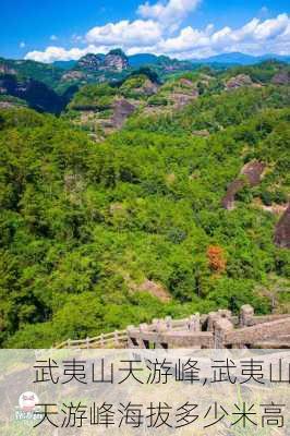 武夷山天游峰,武夷山天游峰海拔多少米高-第1张图片-奥莱旅游网