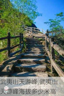 武夷山天游峰,武夷山天游峰海拔多少米高-第3张图片-奥莱旅游网