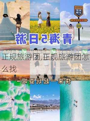 正规旅游团,正规旅游团怎么找-第2张图片-奥莱旅游网