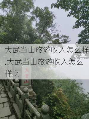 大武当山旅游收入怎么样,大武当山旅游收入怎么样啊