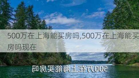 500万在上海能买房吗,500万在上海能买房吗现在-第3张图片-奥莱旅游网