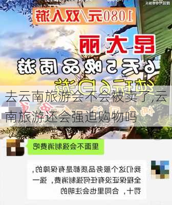 去云南旅游会不会被卖了,云南旅游还会强迫购物吗-第3张图片-奥莱旅游网