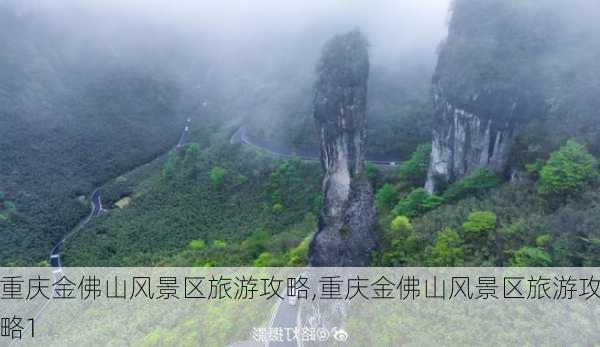 重庆金佛山风景区旅游攻略,重庆金佛山风景区旅游攻略1-第2张图片-奥莱旅游网