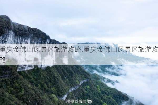 重庆金佛山风景区旅游攻略,重庆金佛山风景区旅游攻略1-第1张图片-奥莱旅游网