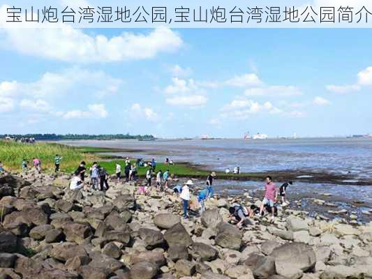 宝山炮台湾湿地公园,宝山炮台湾湿地公园简介-第2张图片-奥莱旅游网