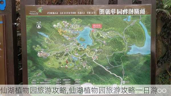 仙湖植物园旅游攻略,仙湖植物园旅游攻略一日游-第1张图片-奥莱旅游网