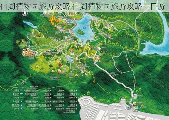 仙湖植物园旅游攻略,仙湖植物园旅游攻略一日游-第3张图片-奥莱旅游网