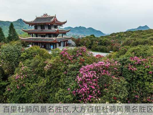 百里杜鹃风景名胜区,大方百里杜鹃风景名胜区