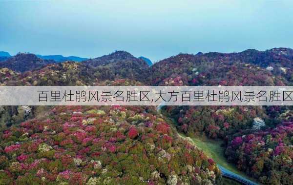 百里杜鹃风景名胜区,大方百里杜鹃风景名胜区-第3张图片-奥莱旅游网