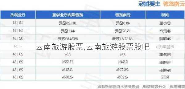 云南旅游股票,云南旅游股票股吧-第3张图片-奥莱旅游网