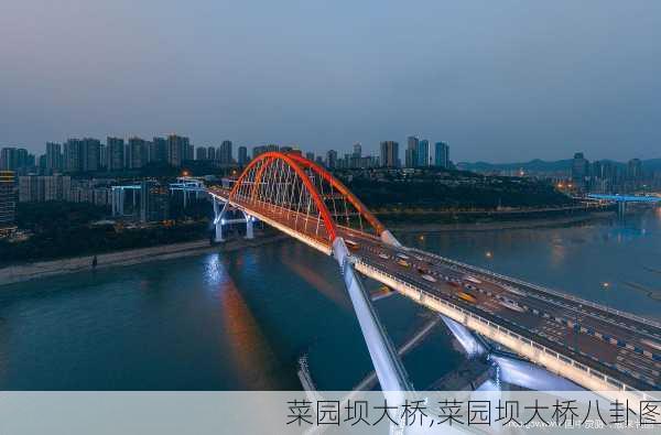 菜园坝大桥,菜园坝大桥八卦图-第3张图片-奥莱旅游网