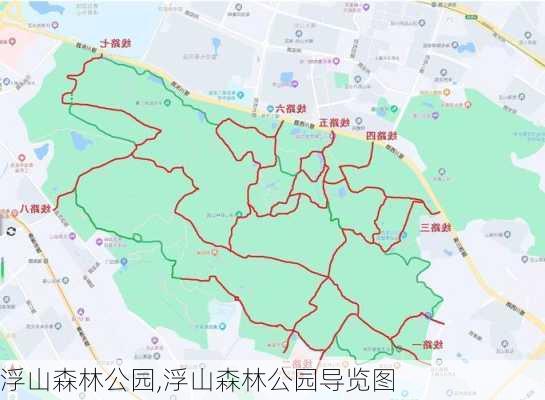 浮山森林公园,浮山森林公园导览图-第2张图片-奥莱旅游网