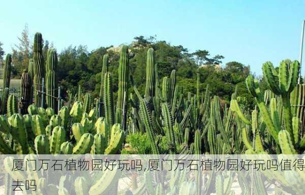 厦门万石植物园好玩吗,厦门万石植物园好玩吗值得去吗-第3张图片-奥莱旅游网